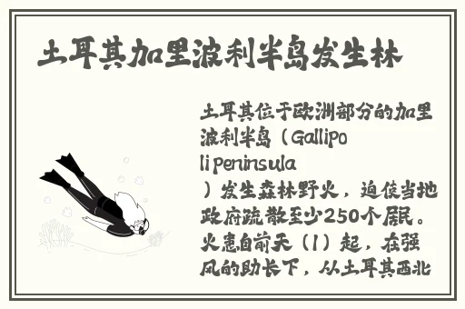 国产精品一品二品三品